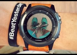 Garmin Face-IT Review